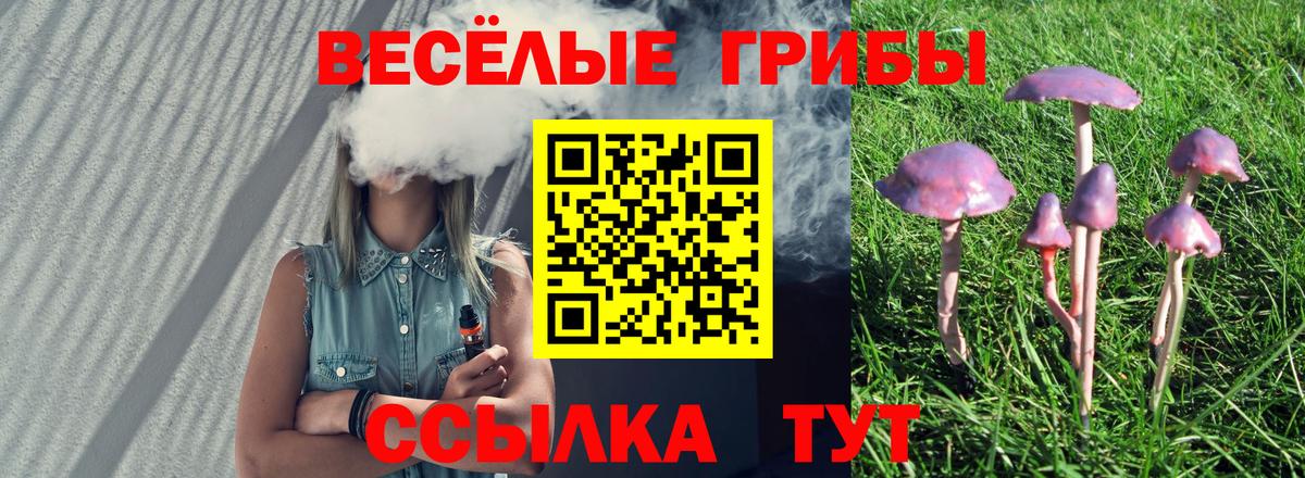 Псилоцибиновые грибы прущие грибы  Вход с VPN  Новый Уренгой  Псилоцибиновые грибы GOLDEN TEACHER 